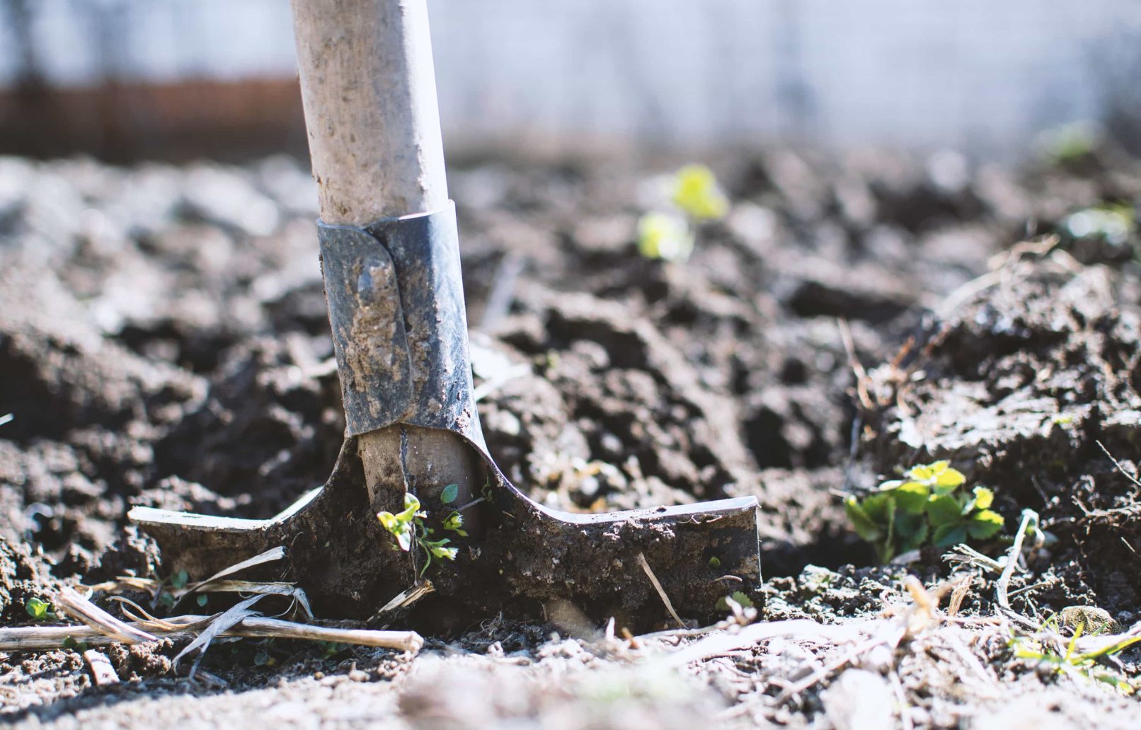 Asawasuwan Logo Design