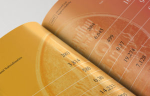 Sansiri Annual report 2005