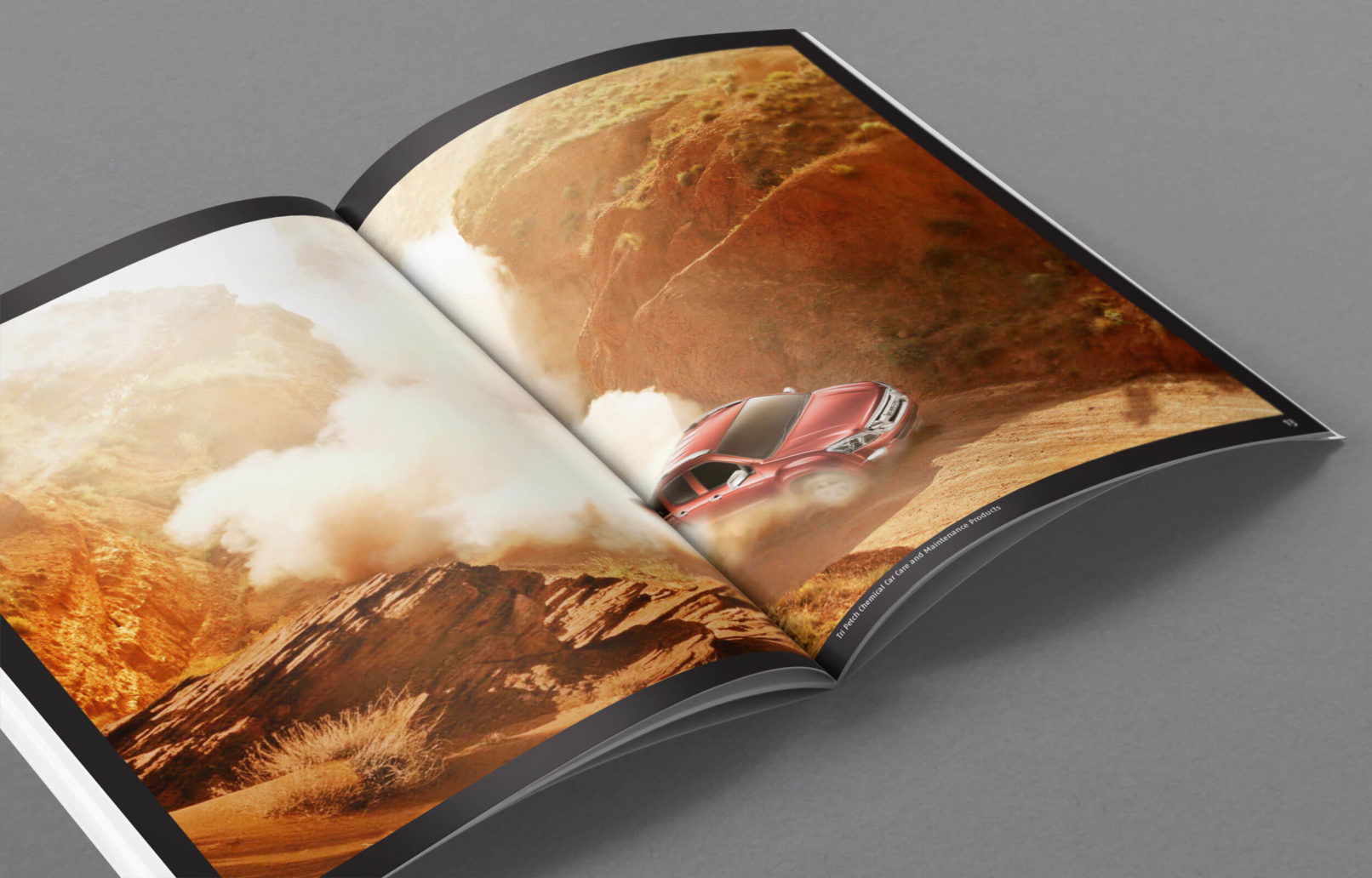 Isuzu catalogue design