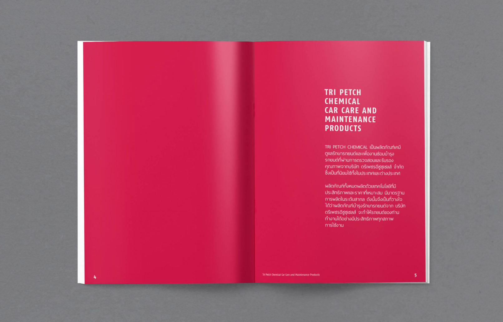 Isuzu catalogue design