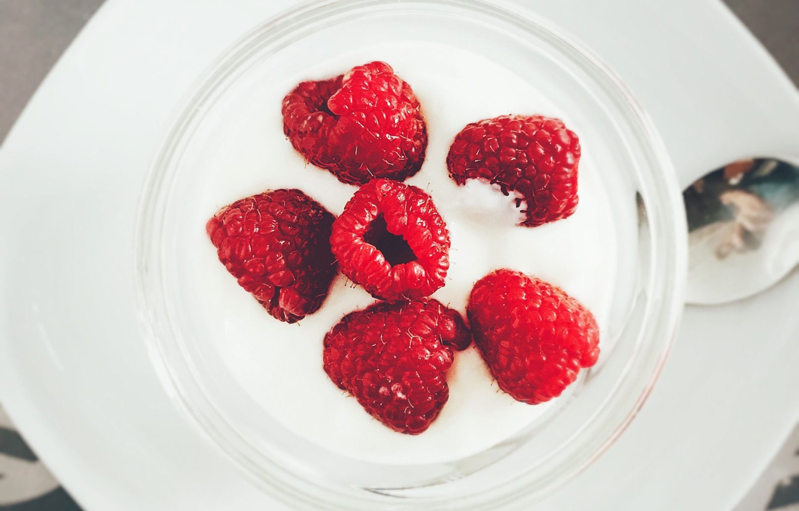 Mellow Pudding Logo Design