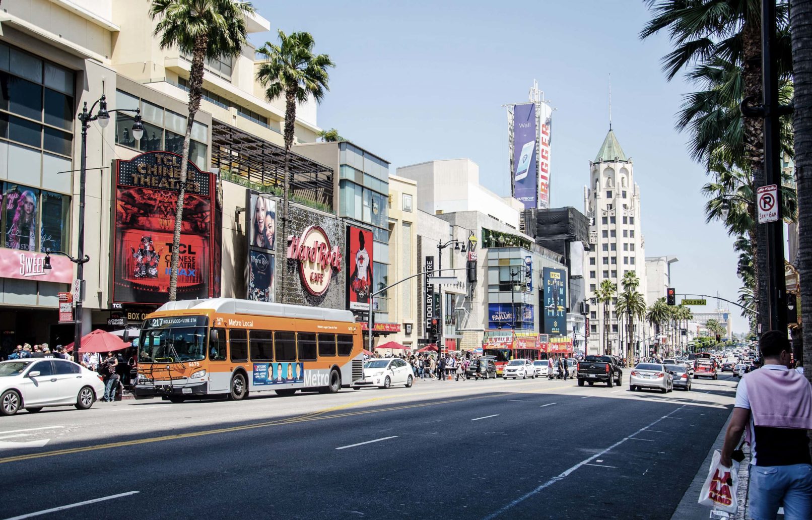 Monkey Shine Logo Design