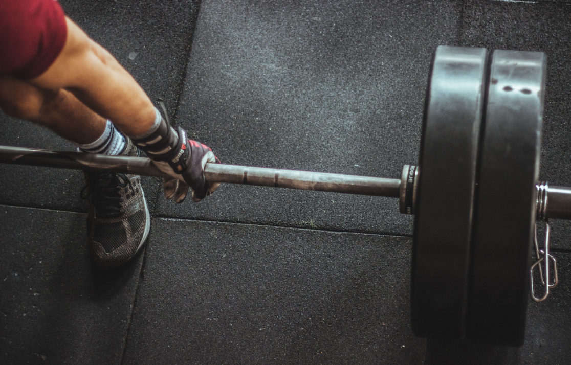 Muscle Foodshop Logo Design